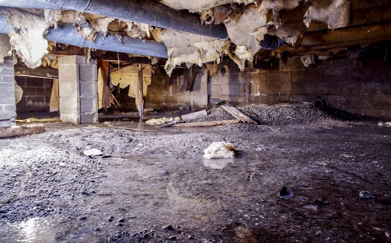 Belleville Michigan crawlspace repair - nasty, wet and moldy