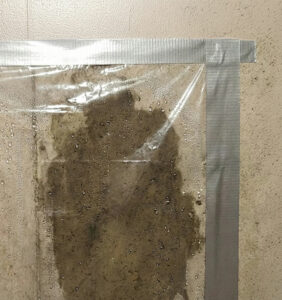 Basement wall plastic sweat test