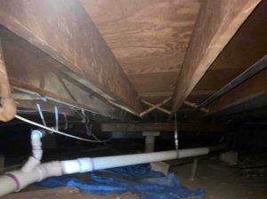 Taylor MI crawlspace rotted floor